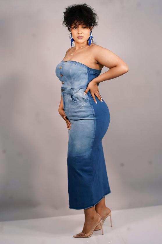 Savanna Denim Dress
